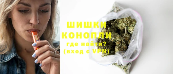 ГАЛЛЮЦИНОГЕННЫЕ ГРИБЫ Белокуриха