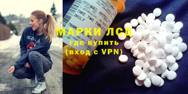 шишки Белоозёрский