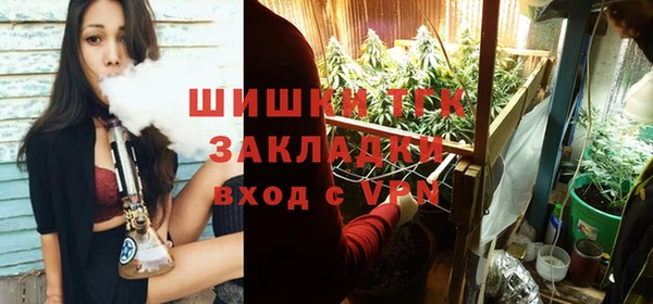ГАЛЛЮЦИНОГЕННЫЕ ГРИБЫ Белокуриха