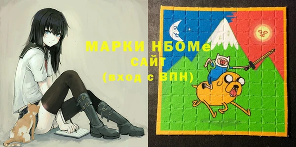 шишки Белоозёрский
