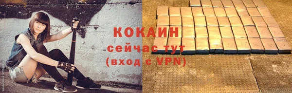 ГАЛЛЮЦИНОГЕННЫЕ ГРИБЫ Белокуриха