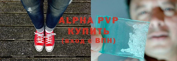 шишки Белоозёрский