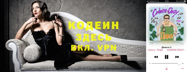 шишки Белоозёрский