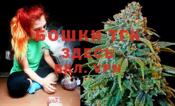 шишки Белоозёрский