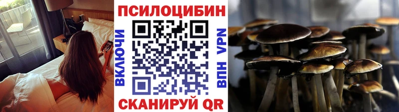 наркотики  Гулькевичи  Псилоцибиновые грибы Cubensis 
