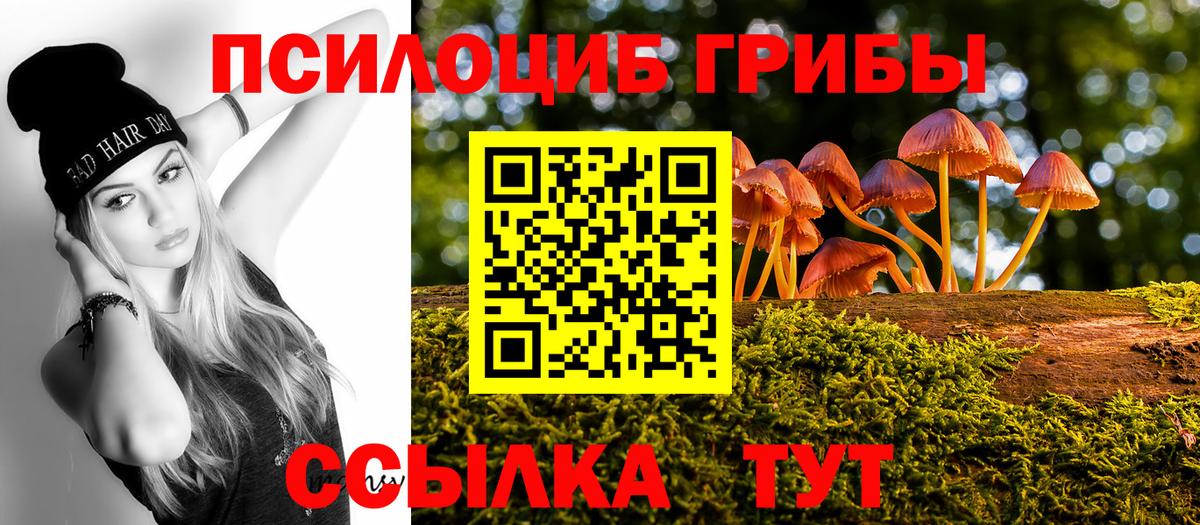 Псилоцибиновые грибы Psilocybe Гулькевичи