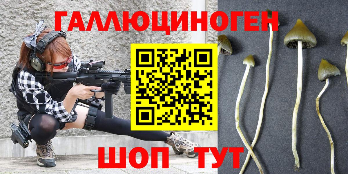 Псилоцибиновые грибы MAGIC MUSHROOMS  Вход с VPN  Гулькевичи 